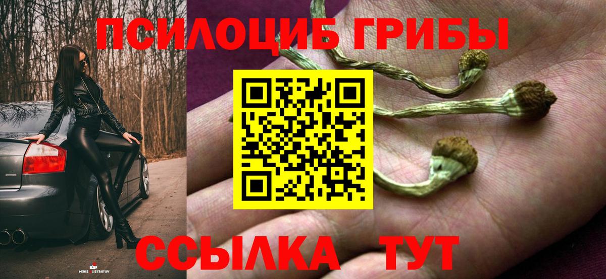 Армавир  Псилоцибиновые грибы GOLDEN TEACHER  Вход с VPN 